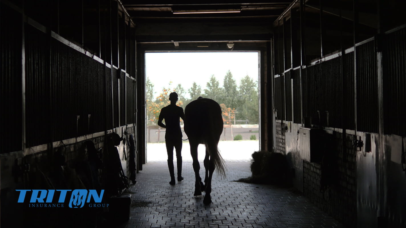 Triton Horse Walking Through Barn