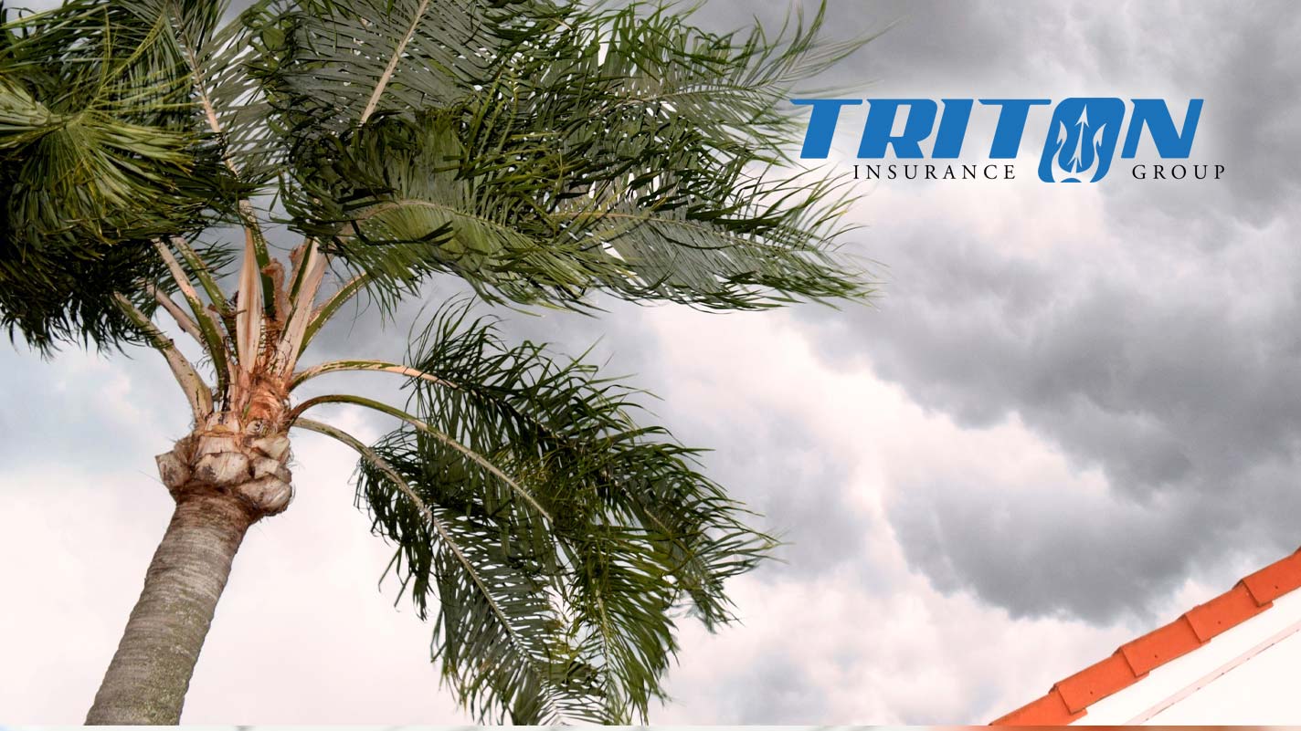 South Florida Insurance Agency - Tree Damage Mitigation